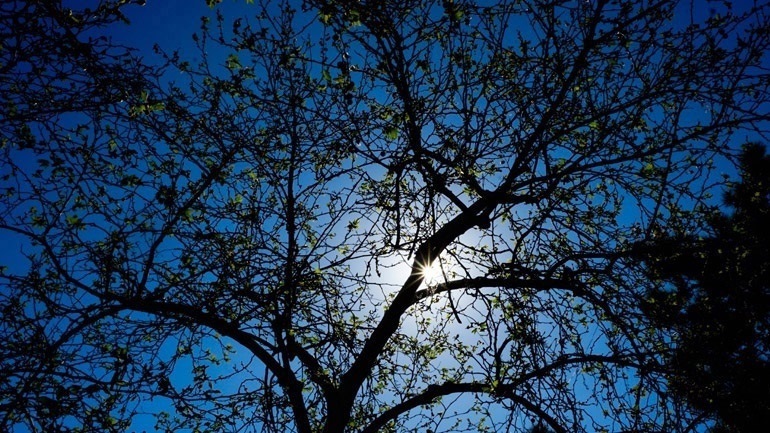 Ο καιρός σήμερα Ο καιρός σήμερα