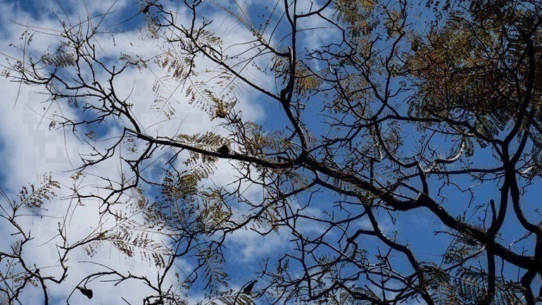 Ο καιρός σήμερα Ο καιρός σήμερα