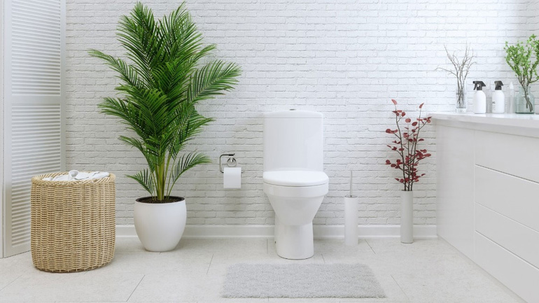 Το πιο συχνό λάθος που κάνουμε όλοι στο μπάνιο και απειλεί την υγεία μας