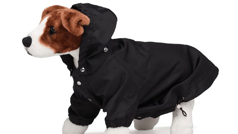 Το αδιάβροχο της Prada που θα λατρέψει ο σκύλος σας