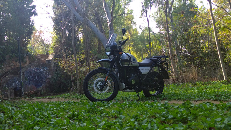 Το στοιχείο του είναι η φύση, εκεί αισθάνεται πολύ καλύτερα!