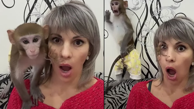 Το φίλτρο της αράχνης