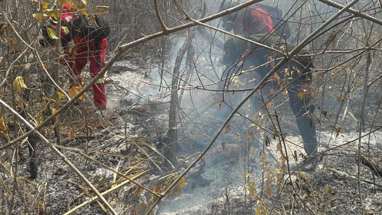 Πυρκαγιές απανθράκωσαν 36 εκατ. στρέμματα δάσους, βοσκοτόπων και καλλιεργειών στη Βολιβία
