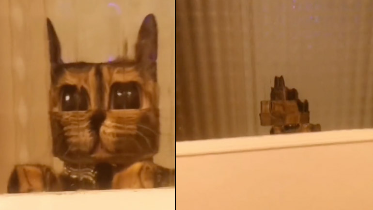 Η γάτα από το Minecraft