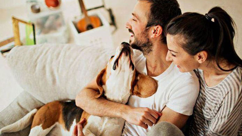 Η συντριπτική πλειοψηφία των ανθρώπων θα απέρριπτε ένα σύντροφο αν δεν αγαπούσε το ζωάκι του