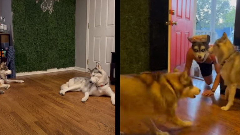 Τι έχουμε εδώ;