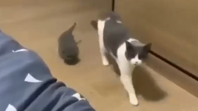 Οικογενειακές στιγμές