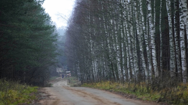 Έρευνα: Τα δέντρα δροσίζουν έως 12 βαθμούς από ό,τι οι άδενδροι χώροι αστικού πρασίνου