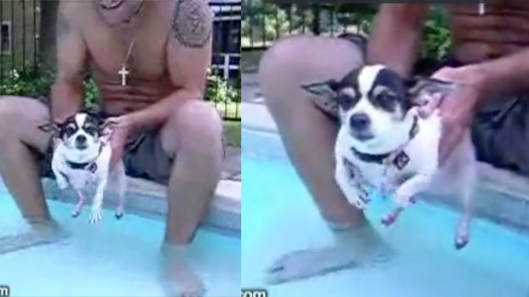 Δεινός κολυμβητής