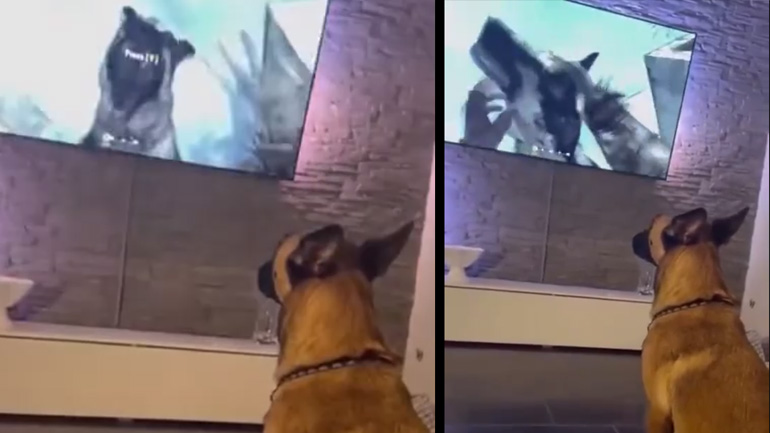 Τι βλέπουν τα μάτια μου;