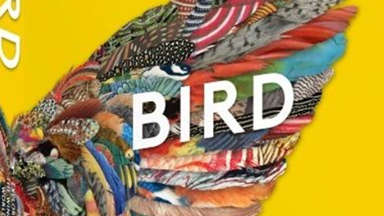 Bird: Exploring the Winged World», ένα βιβλίο- ύμνος στα πτερωτά όντα