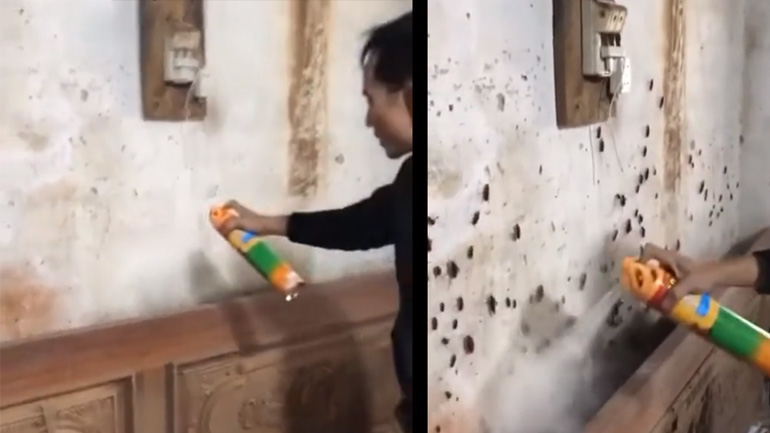 Κατσαρίδες εναντίον κατσαριδοκτόνου