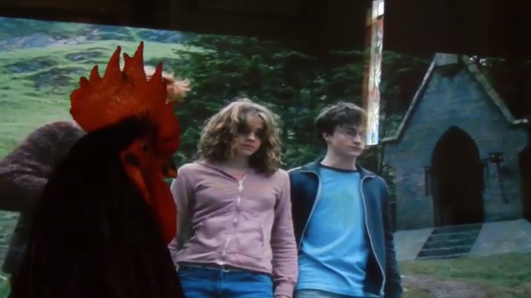 Κόκορας βλέπει Χάρι Πότερ