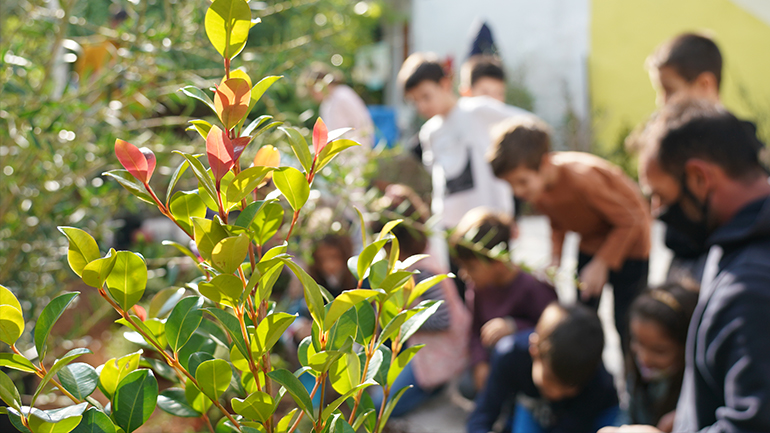 Η Nova και ο Δήμος Αθηναίων ενώνουν τις δυνάμεις τους για μια Αθήνα πιο πράσινη