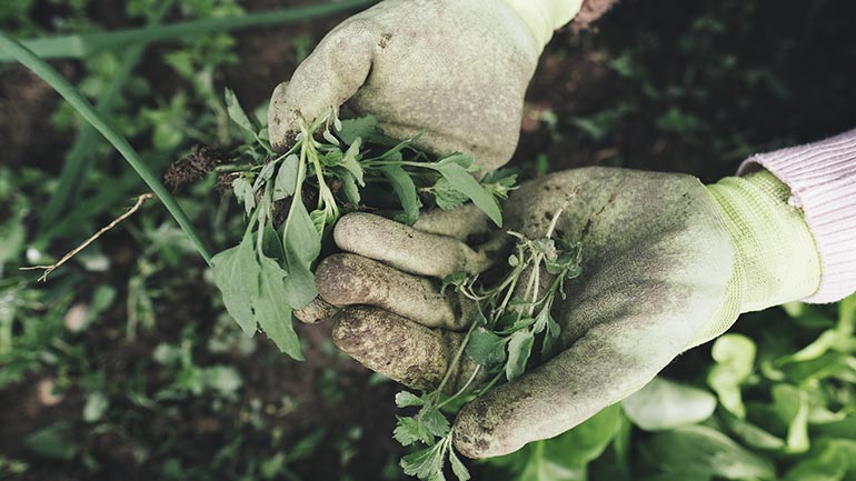 ΥΠΑΑΤ: Εν εξελίξει προγράμματα ύψους 3,5 δισ. ευρώ για την ενίσχυση του πρωτογενούς τομέα