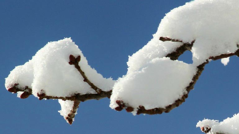 Χιόνια στο Τρόοδος αναμένονται σύμφωνα με την Μετεωρολογική Υπηρεσία Κύπρου