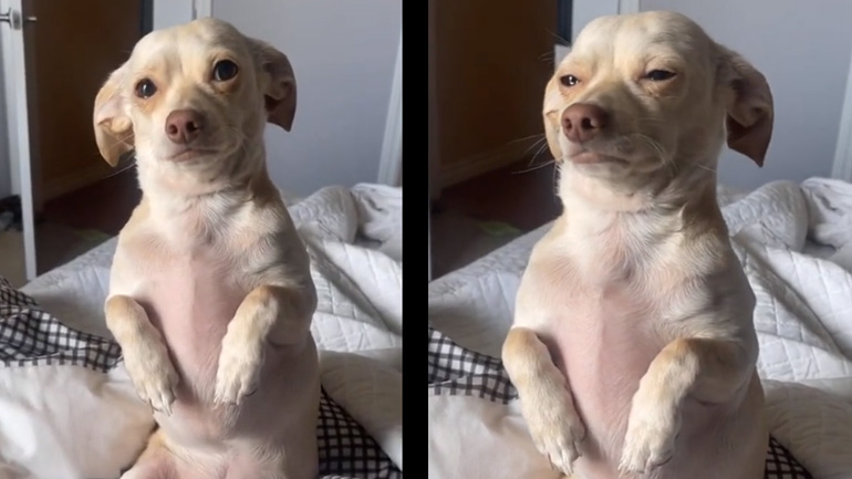 Μην πας στη δουλειά, μείνε εδώ!