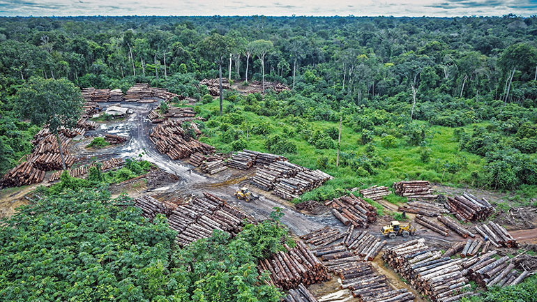 Μια νέα μελέτη συνδέει τους μεγάλους οίκους μόδας με την αποψίλωση των δασών του Αμαζονίου