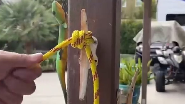 Πώς θα κάνετε γρήγορα έναν κόμπο