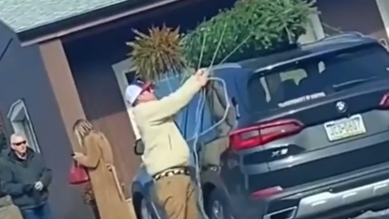 Άνδρας μεταφέρει ένα έλατο με το αυτοκίνητό του