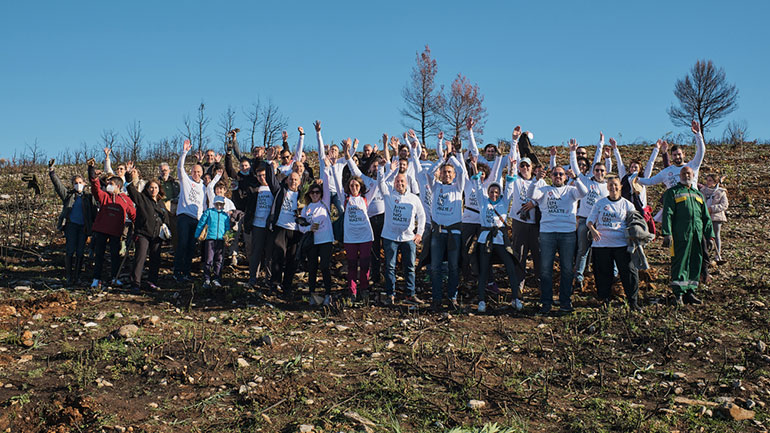 Η «Παπαστράτος» φυτεύει 70.000 δέντρα στην Αττική