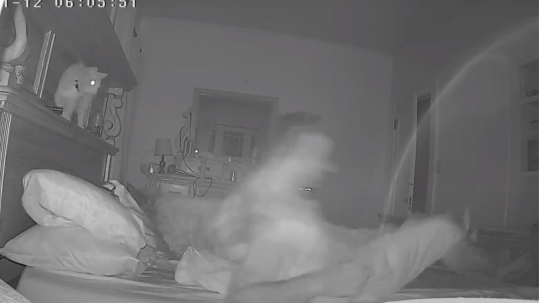 Κρύο ντους τη νύχτα