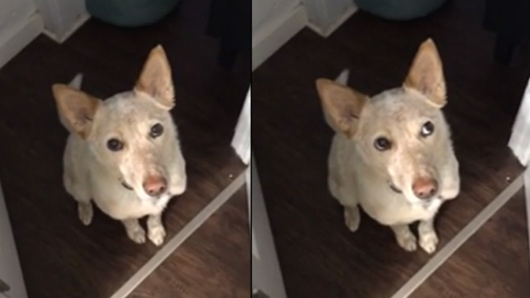 Υπέδειξε διακριτικά αυτό που χρειαζόταν!