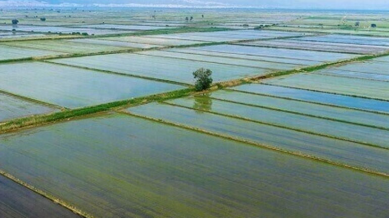 FAO: Πρόκληση η προστασία της γεωργικής γης, των χερσαίων και υδάτινων πόρων