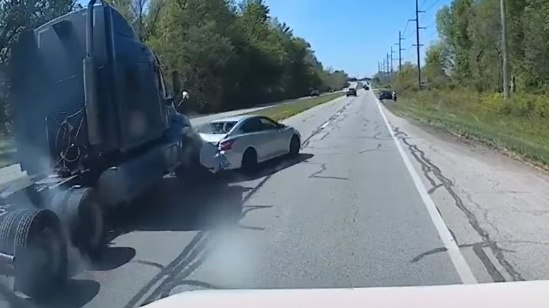 Θα ρίσκαρες ένα τροχαίο για να σώσεις ένα ζωάκι; 