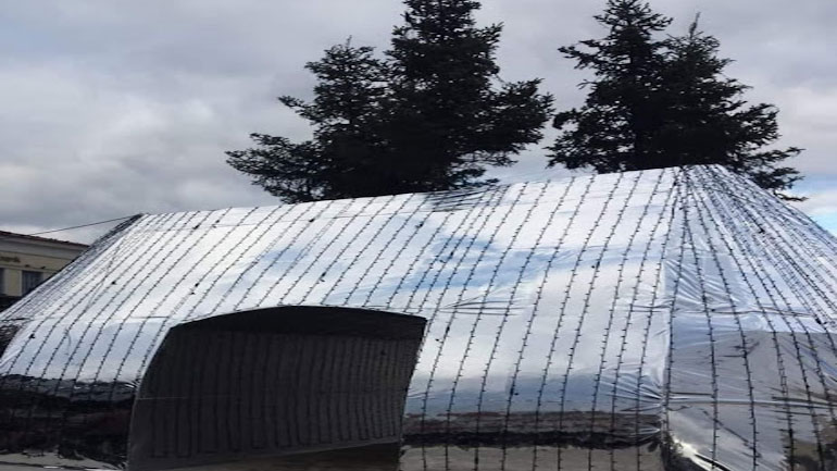 Λαμία: Φυτρώνουν έλατα στο αλουμινόχαρτο;