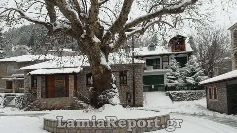 Φθιώτιδα: Σε ύφεση ο χιονιάς – Προσοχή στον παγετό