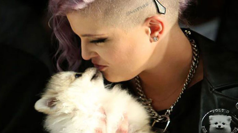 Oι άνθρωποι που έχουν σκύλο, τον φιλούν περισσότερο από τον σύντροφό τους