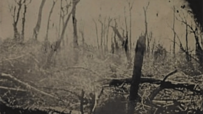 H Σάλι Μαν κέρδισε το Prix Pictet 2021