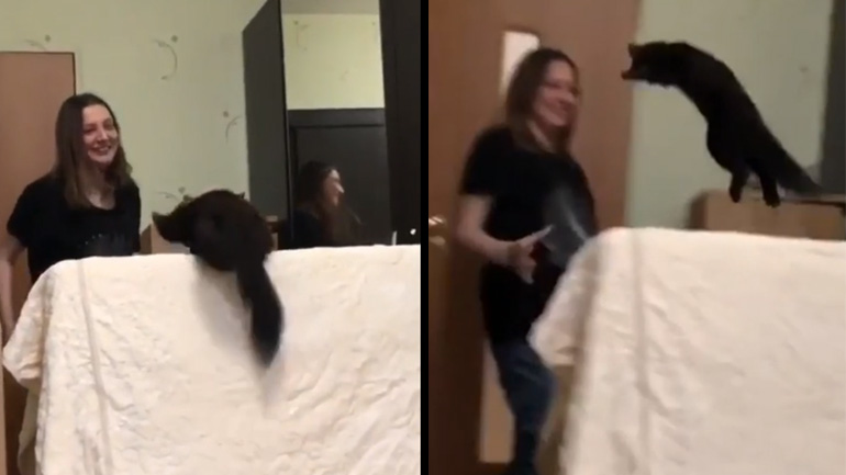 Ζιμπελίνα παίζει με την ιδιοκτήτριά της