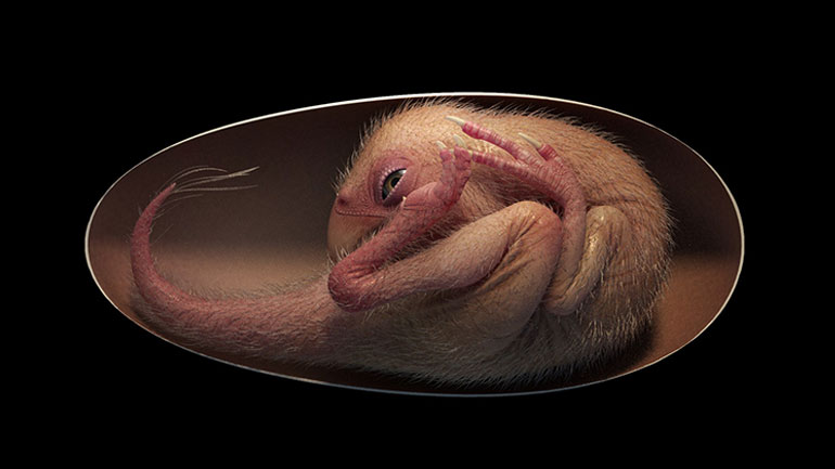 Ανακαλύφθηκε στην Κίνα το τελειότερα διατηρημένο έμβρυο μέσα σε απολιθωμένο αυγό δεινοσαύρου 66 εκατομμυρίων ετών