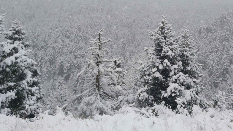 Δριμύ ψύχος στα ορεινά – Θερμοκρασία -27,8 βαθμούς Κελσίου στη δολίνη Βαθυστάλου Παρνασσού