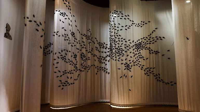 Η έκθεση του Capten «Cockroaches – Κατσαρίδες» πήρε παράταση