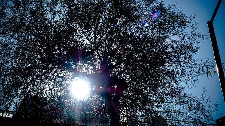 Ο καιρός σήμερα