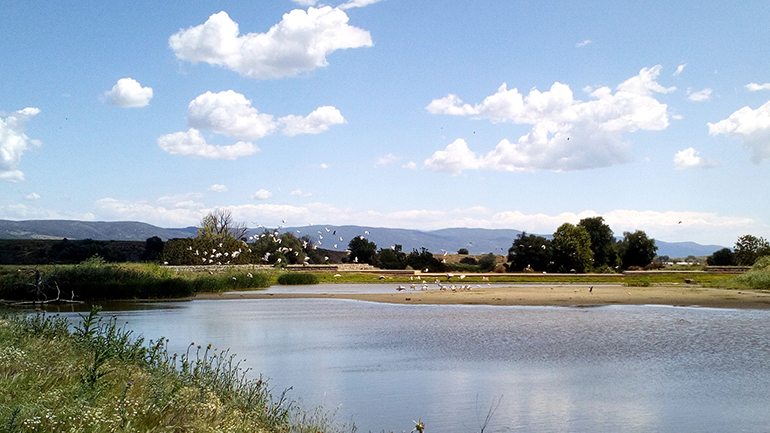 Θεσσαλονίκη: Ρύπανση από ανεξέλεγκτη απόρριψη λυμάτων σε ρέμα που καταλήγει στη λίμνη Κορώνεια