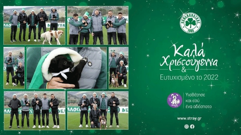 Παναθηναϊκός: «Υιοθέτησε κι εσύ έναν αδέσποτο σκύλο»