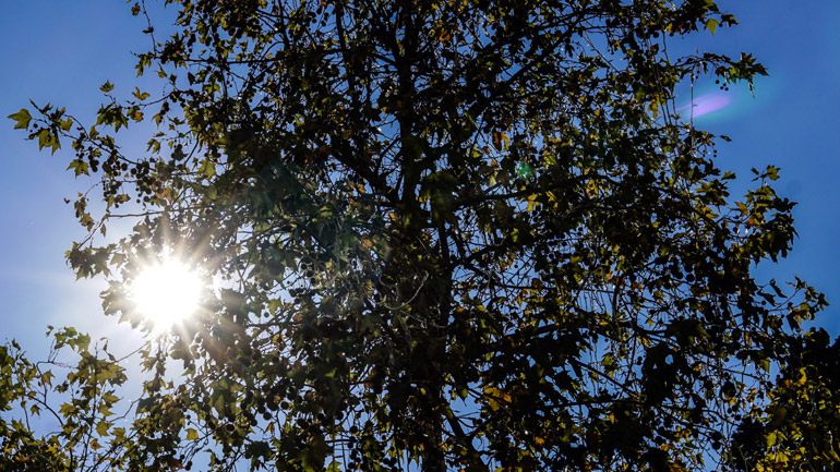 Ο καιρός σήμερα