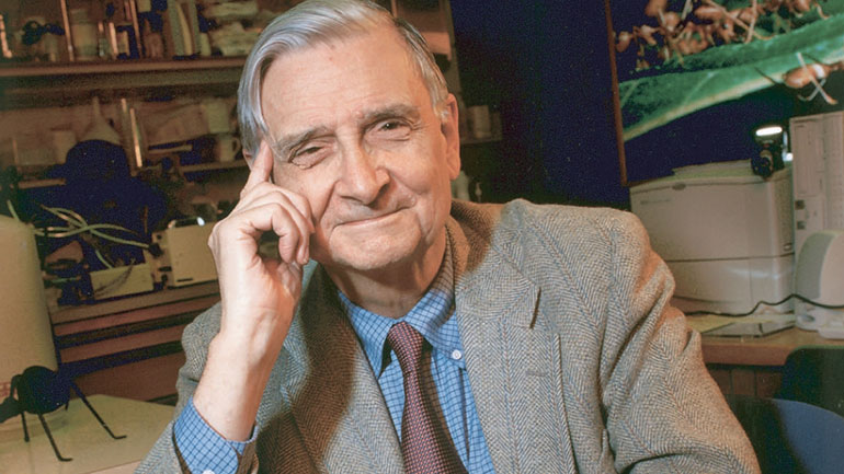 ΗΠΑ: Πέθανε ο «σύγχρονος Δαρβίνος», Έντουαρντ Ο. Γουίλσον