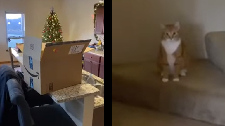 Καινούργια κούτα στο σπίτι