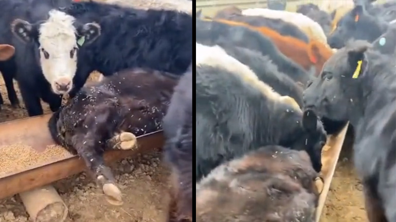 Πρωινό στο κρεβάτι