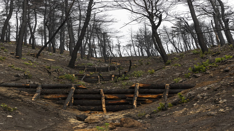 Αίτημα για 50 εκατ. ευρώ για το «Πρόγραμμα Προστασίας Δασών»