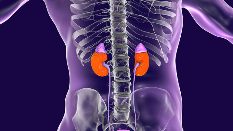 Ρομποτική Μερική Νεφρεκτομή: Τα οφέλη