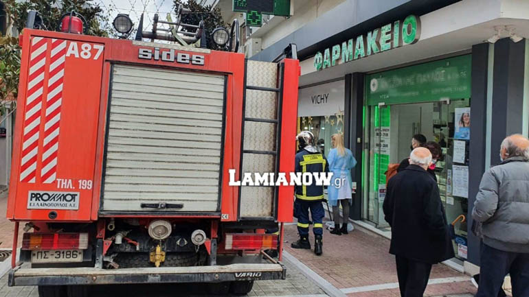 Λαμία: Γεράκι μπήκε σε φαρμακείο από… σπόντα – Έδωσαν τη λύση οι πυροσβέστες