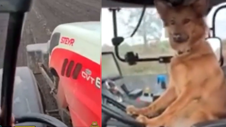 Έμπειρος οδηγός τρακτέρ