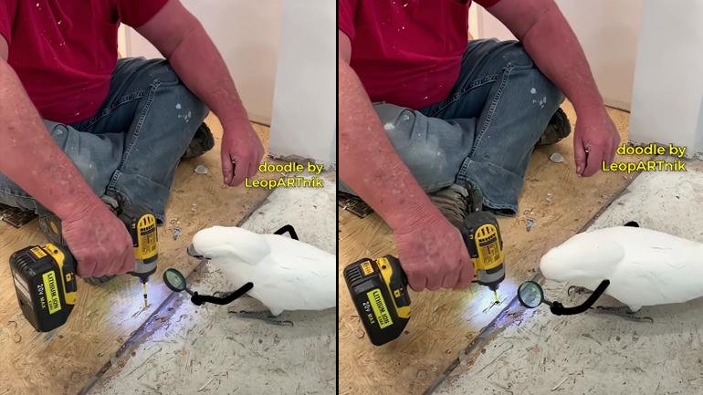 Έλεγχος ποιότητας