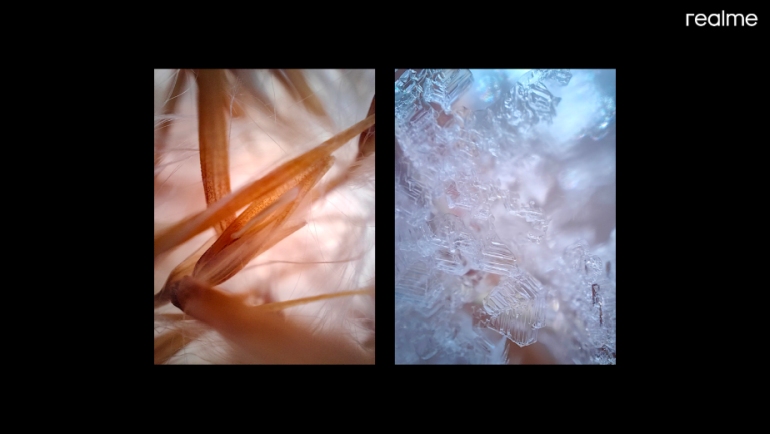 Λήψη με κάμερα realme GT 2 Pro 40X Micro-lens.